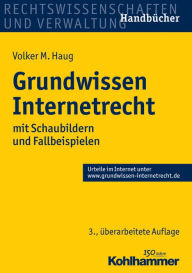 Title: Grundwissen Internetrecht: mit Schaubildern und Fallbeispielen, Author: Volker M Haug