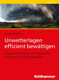 Title: Unwetterlagen effizient bewältigen: Organisatorische und taktische Hinweise für Feuerwehren, Author: Fabian Müller