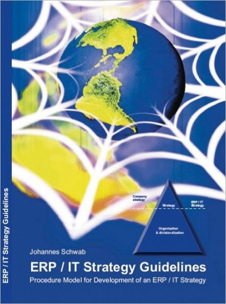 ERP / IT Strategy Guidelines