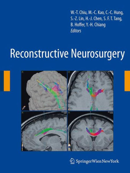 Reconstructive Neurosurgery / Edition 1