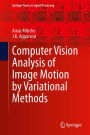 Computer Vision Analysis of Image Motion by Variational Methods