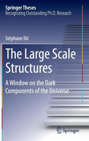 The Large Scale Structures: A Window on the Dark Components of the Universe