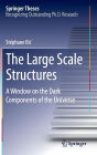 The Large Scale Structures: A Window on the Dark Components of the Universe