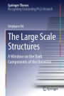 The Large Scale Structures: A Window on the Dark Components of the Universe
