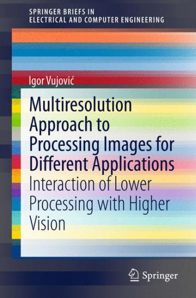 Multiresolution Approach to Processing Images for Different Applications: Interaction of Lower Processing with Higher Vision