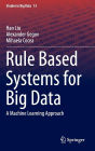 Rule Based Systems for Big Data: A Machine Learning Approach