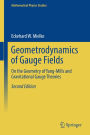 Geometrodynamics of Gauge Fields: On the Geometry of Yang-Mills and Gravitational Gauge Theories