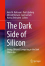 The Dark Side of Silicon: Energy Efficient Computing in the Dark Silicon Era