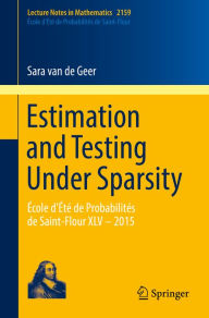 Title: Estimation and Testing Under Sparsity: École d'Été de Probabilités de Saint-Flour XLV - 2015, Author: Sara van de Geer