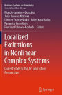 Localized Excitations in Nonlinear Complex Systems: Current State of the Art and Future Perspectives
