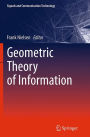 Geometric Theory of Information