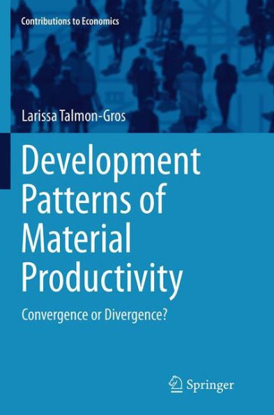 Development Patterns of Material Productivity: Convergence or Divergence?