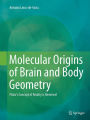 Molecular Origins of Brain and Body Geometry: Plato's Concept of Reality is Reversed
