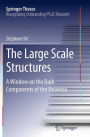 The Large Scale Structures: A Window on the Dark Components of the Universe
