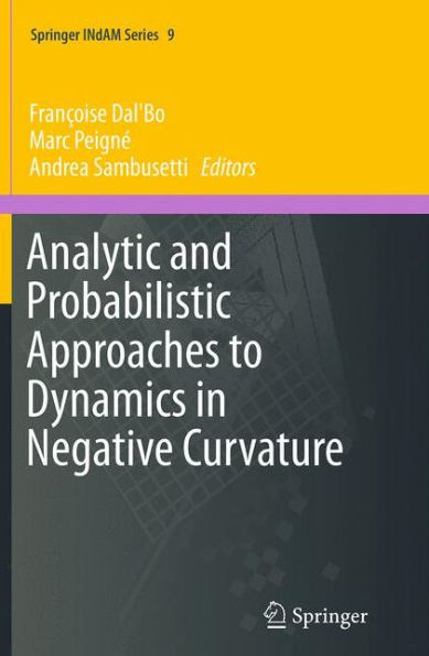 Analytic and Probabilistic Approaches to Dynamics in Negative Curvature