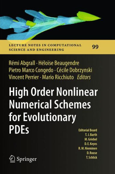 High Order Nonlinear Numerical Schemes for Evolutionary PDEs: Proceedings of the European Workshop HONOM 2013, Bordeaux, France, March 18-22, 2013