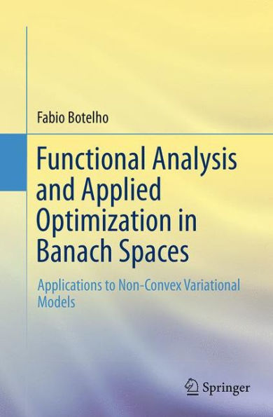 Functional Analysis and Applied Optimization Banach Spaces: Applications to Non-Convex Variational Models