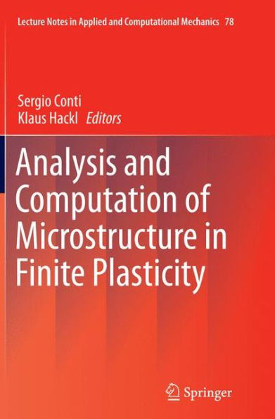 Analysis and Computation of Microstructure Finite Plasticity