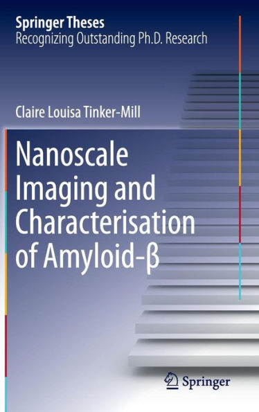 Nanoscale Imaging and Characterisation of Amyloid