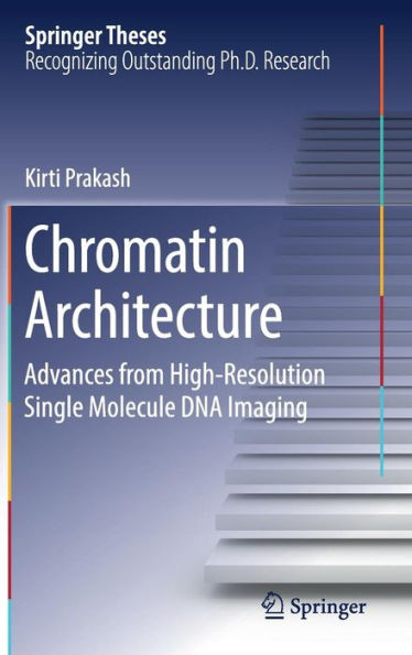 Chromatin Architecture: Advances From High-resolution Single Molecule DNA Imaging