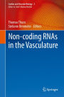 Non-coding RNAs in the Vasculature