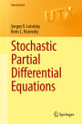 Stochastic Partial Differential Equations