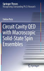 Circuit Cavity QED with Macroscopic Solid-State Spin Ensembles