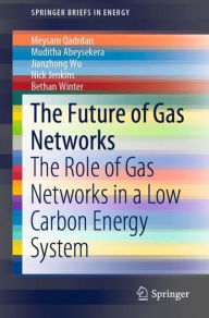 Title: The Future of Gas Networks: The Role of Gas Networks in a Low Carbon Energy System, Author: Meysam Qadrdan