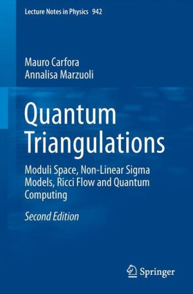 Quantum Triangulations: Moduli Space, Quantum Computing, Non-Linear Sigma Models and Ricci Flow / Edition 2