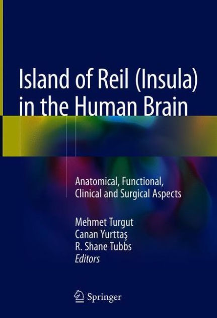 Island of Reil (Insula) in the Human Brain: Anatomical, Functional ...
