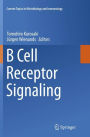 B Cell Receptor Signaling