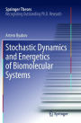 Stochastic Dynamics and Energetics of Biomolecular Systems