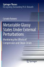 Metastable Glassy States Under External Perturbations: Monitoring the Effects of Compression and Shear-strain