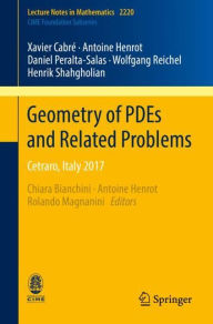 Title: Geometry of PDEs and Related Problems: Cetraro, Italy 2017, Author: Xavier Cabrï