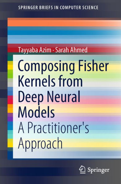 Composing Fisher Kernels from Deep Neural Models: A Practitioner's Approach