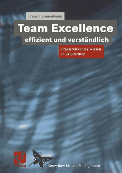 Team Excellence Effizient und Verständlich: Praxisrelevantes Wissen in 24 Schritten