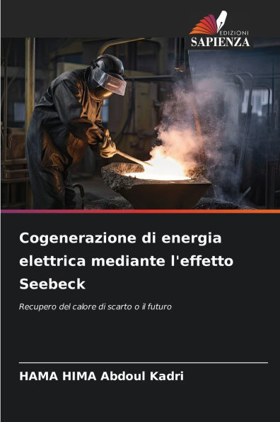 Cogenerazione di energia elettrica mediante l'effetto Seebeck