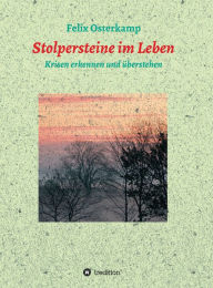 Title: Stolpersteine im Leben - Krisen erkennen und überstehen, Author: Felix-Daniel Osterkamp