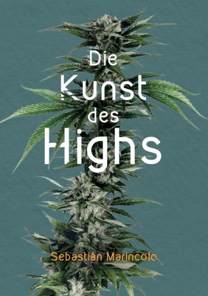 Die Kunst des Highs: Wie wir mit Cannabis unser Bewusstsein bereichern können