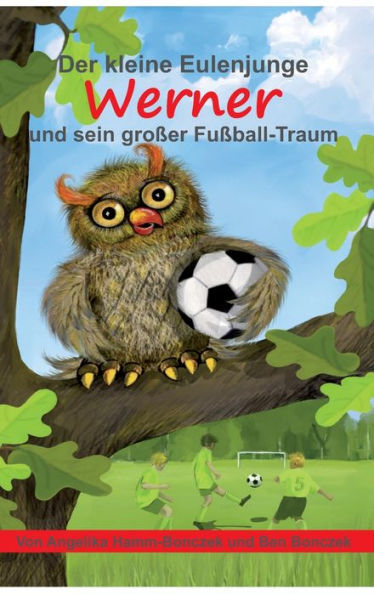 Der kleine Eulenjunge Werner und sein großer Fußball-Traum