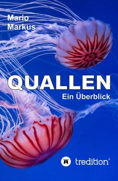 Quallen: Ein Überblick