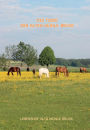 Wie kommt das Pony auf den Gnadenbrothof?: 34 kleine Lebensgeschichten der wunderbaren Tieren vom Ponyhof Alte Mühle Bruck