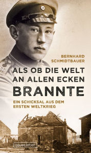 Title: Als ob die Welt an allen Ecken brannte: Ein Schicksal aus dem Ersten Weltkrieg, Author: Bernhard Schmidtbauer