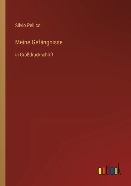 Meine Gefängnisse: Großdruckschrift