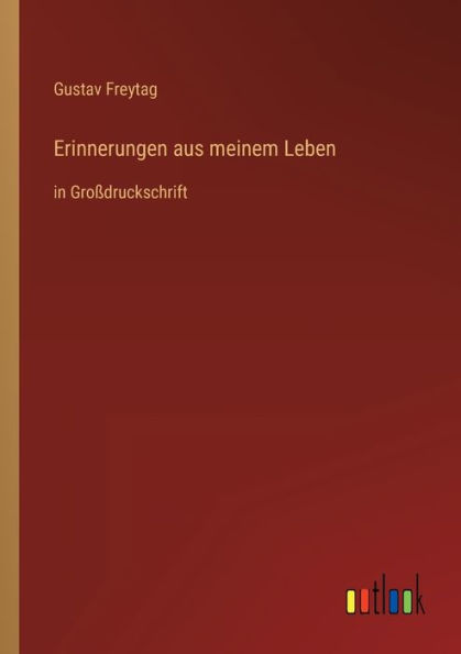 Erinnerungen aus meinem Leben: Groï¿½druckschrift