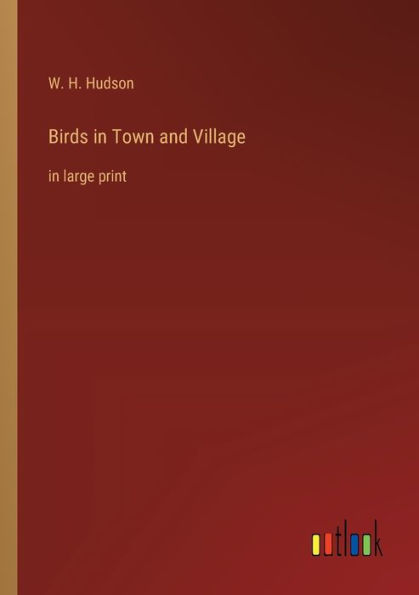 Birds Town and Village: large print