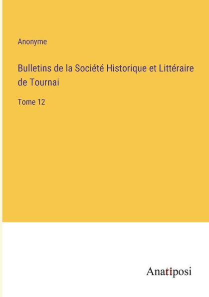 Bulletins de la Sociï¿½tï¿½ Historique et Littï¿½raire Tournai: Tome 12