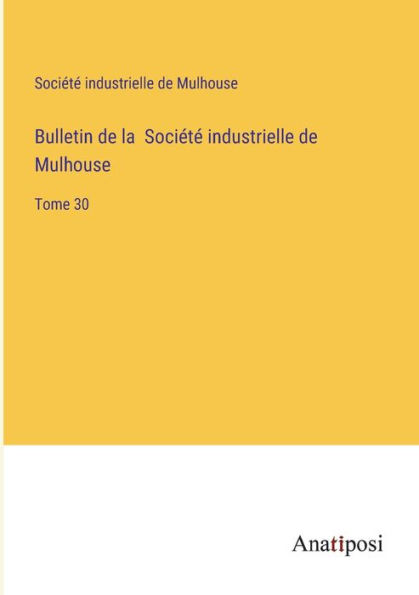 Bulletin de la Société industrielle Mulhouse: Tome 30