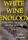 WHITE WINE ENOLOGY: OPTIMIZING SHELF LIFE AND FLAVOR STABILITY OF WHITE WINES - HOW LONG-LASTING WHITE WINES ARE PRODUCED