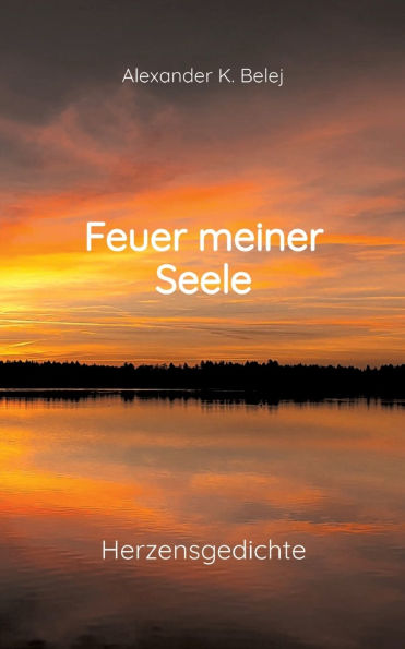 Feuer meiner Seele: Herzensgedichte geprï¿½gt von Sehnsucht, Liebe und Hoffnung